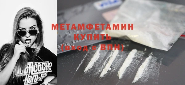 прущие грибы Елабуга