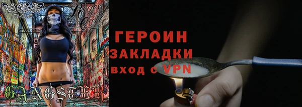 гашик Ельня