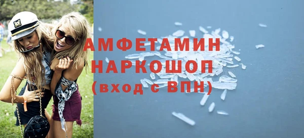 прущие грибы Елабуга