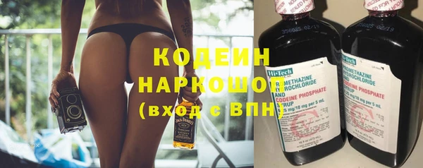 прущие грибы Елабуга