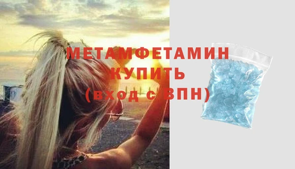 прущие грибы Елабуга