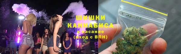 прущие грибы Елабуга