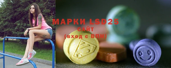 гашик Ельня