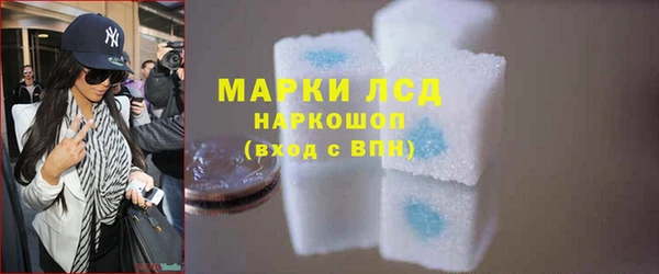 прущие грибы Елабуга