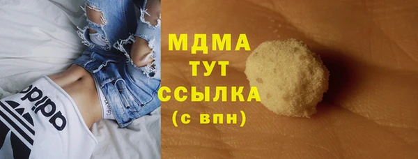 гашик Ельня