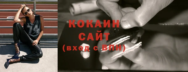 гашик Ельня