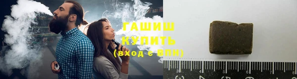 прущие грибы Елабуга