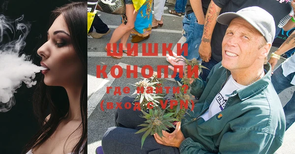 прущие грибы Елабуга