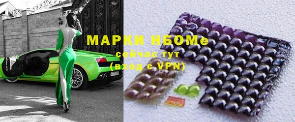 прущие грибы Елабуга