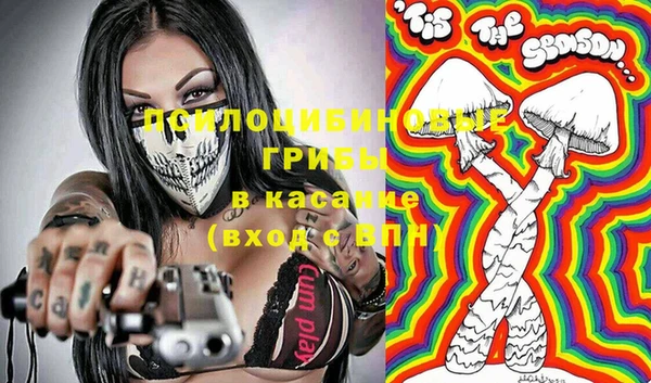 гашик Ельня