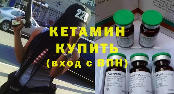 гашик Ельня