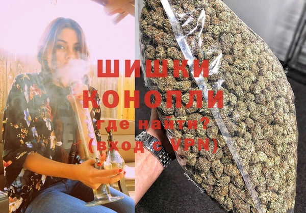 гашик Ельня