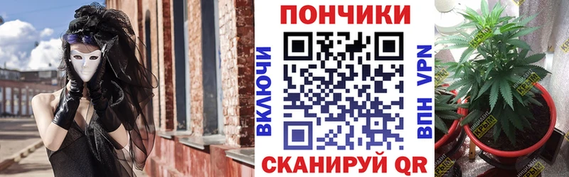 Купить где  Михайловск  Бошки Шишки тримм 